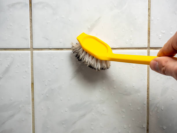 Certified Mold Removal in North Druid Hills, GA