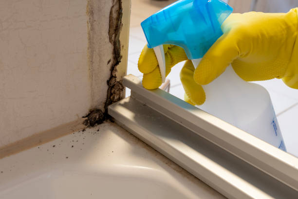 Best Emergency Mold Removal  in North Druid Hills, GA