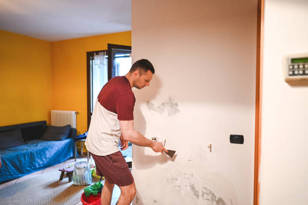 North Druid Hills, GA Mold Removal Company